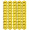 The Official Pickleball